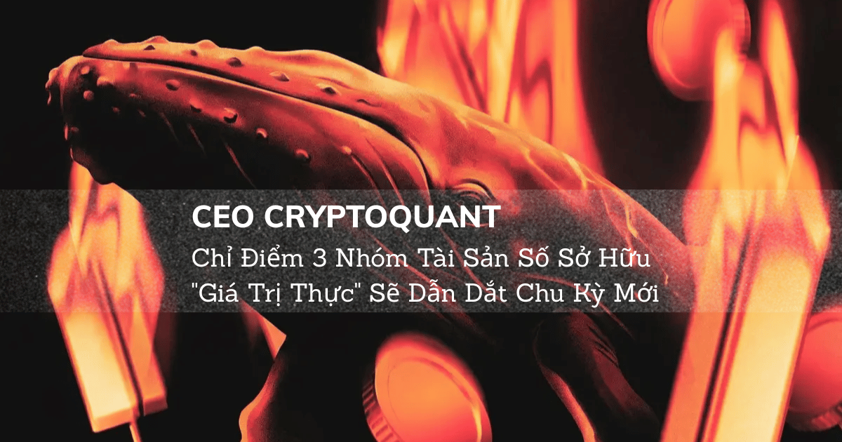 CEO CryptoQuant Chỉ Điểm 3 Nhóm Tài Sản Số Sở Hữu "Giá Trị Thực" Sẽ Dẫn Dắt Chu Kỳ Mới