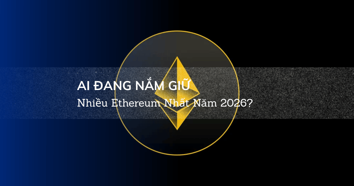 Ai Đang Nắm Giữ Nhiều Ethereum Nhất Năm 2026?