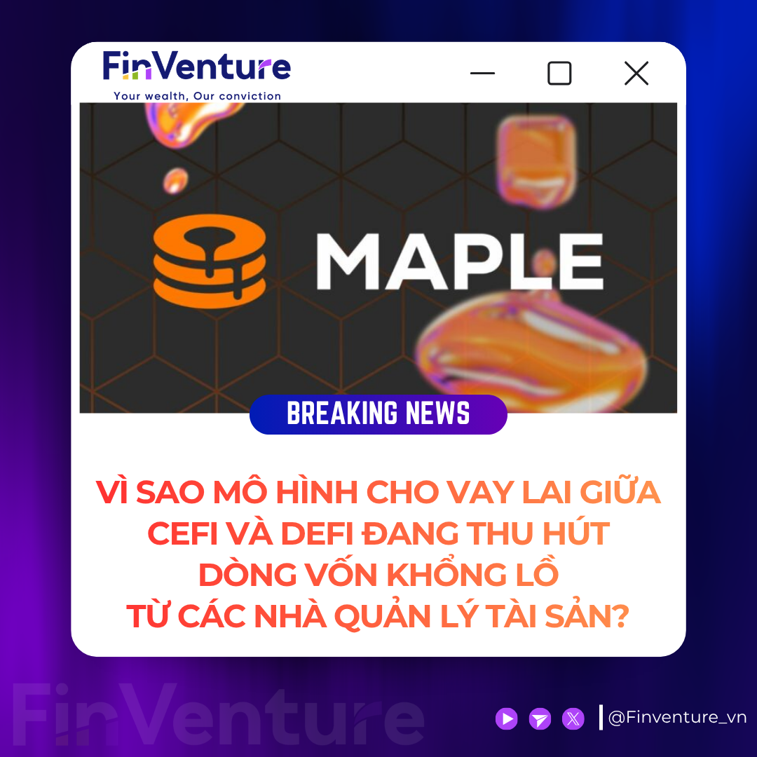 Mô Hình Lai Của Maple: Cầu Nối CeFi - DeFi Đón Dòng Vốn Tổ Chức