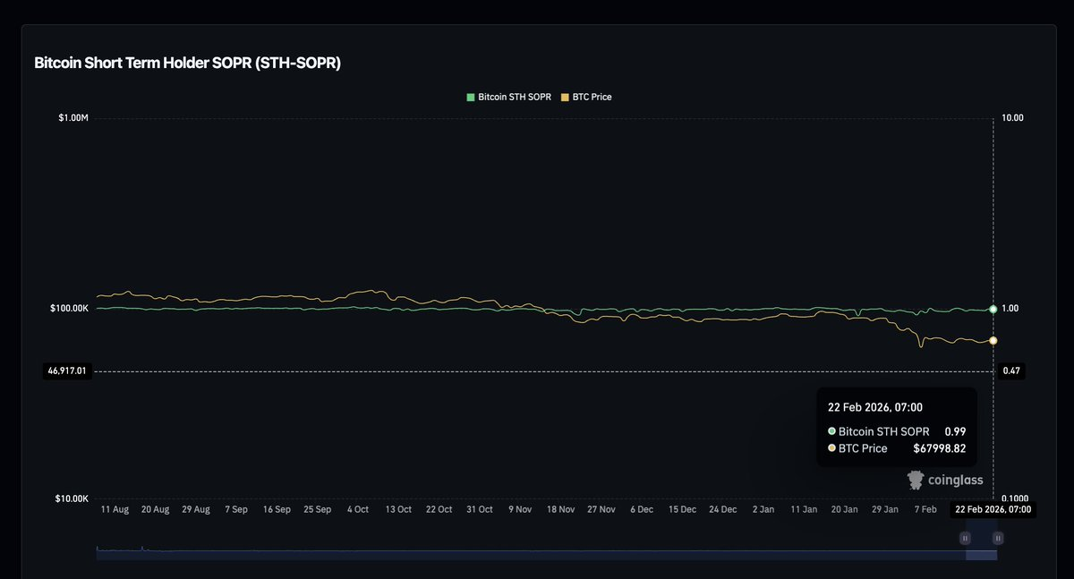 H&igrave;nh ảnh minh họa