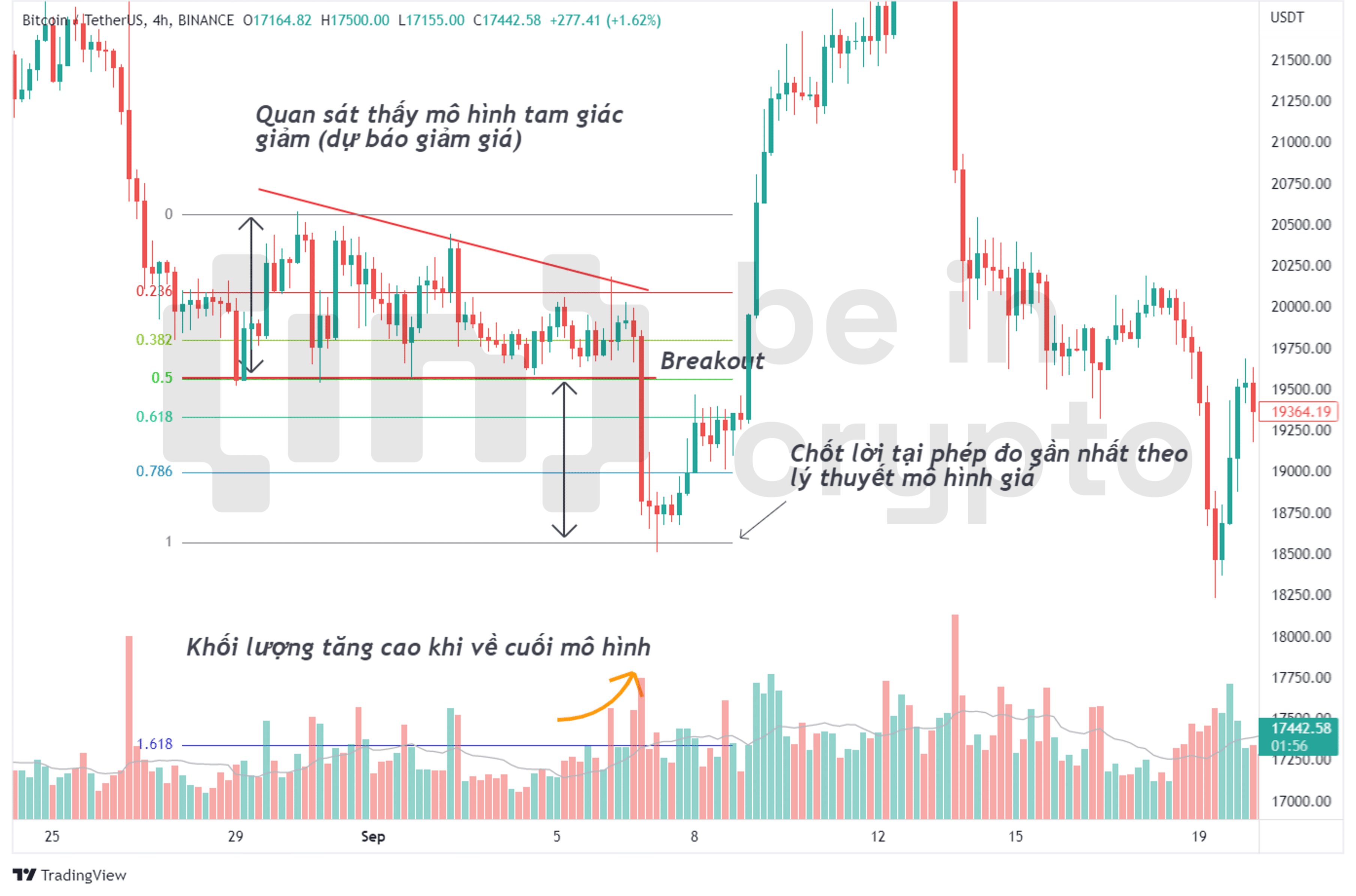 H&igrave;nh ảnh minh họa