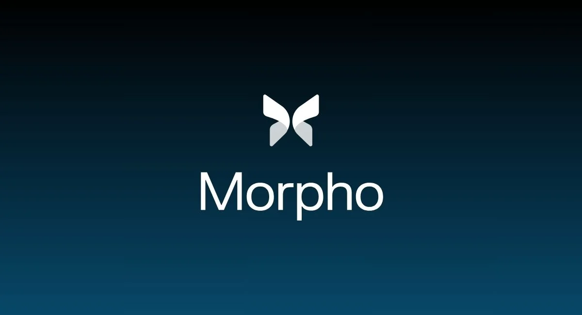 Morpho: Token, dòng tiền, quản trị và những câu hỏi lớn còn bỏ ngỏ